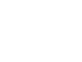 Visceral Design